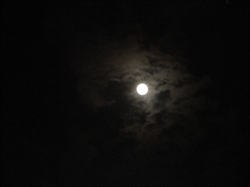 DSC00248