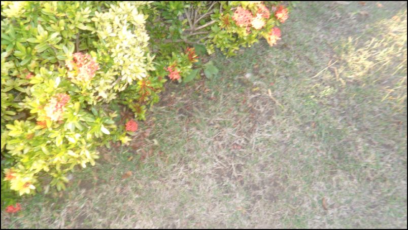 SAM_0186