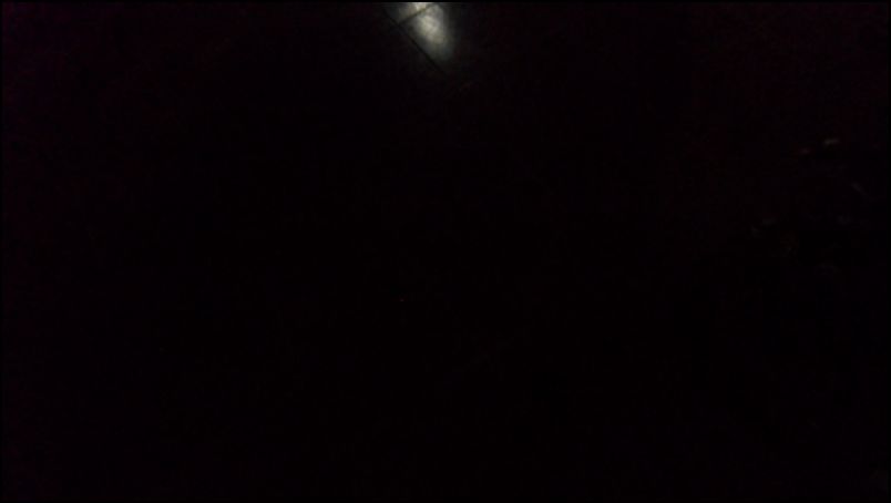SAM_0369