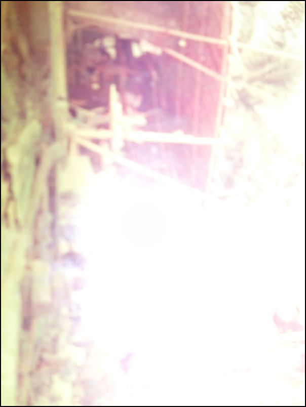 SAM_6222