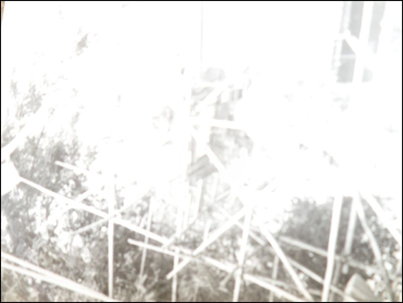 SAM_6238