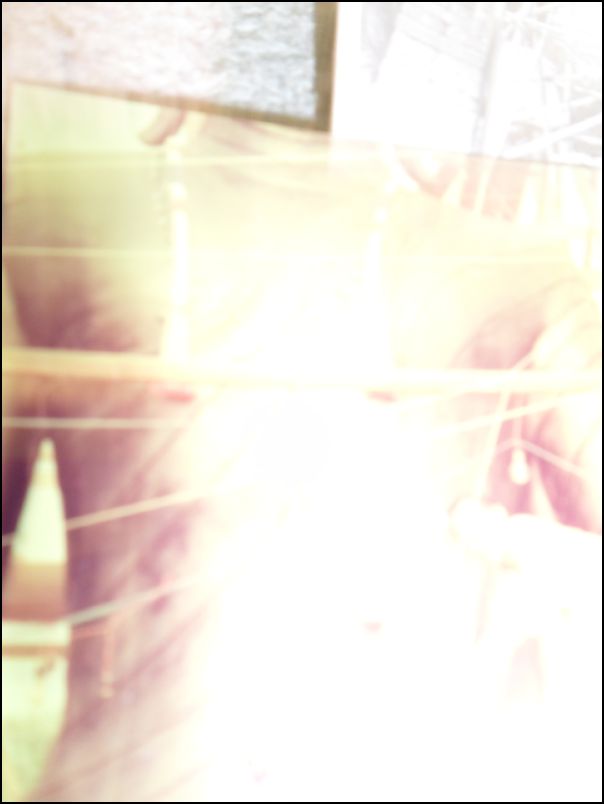 SAM_6243